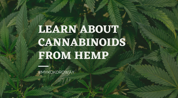 The benefits of cannabinoids from hemp