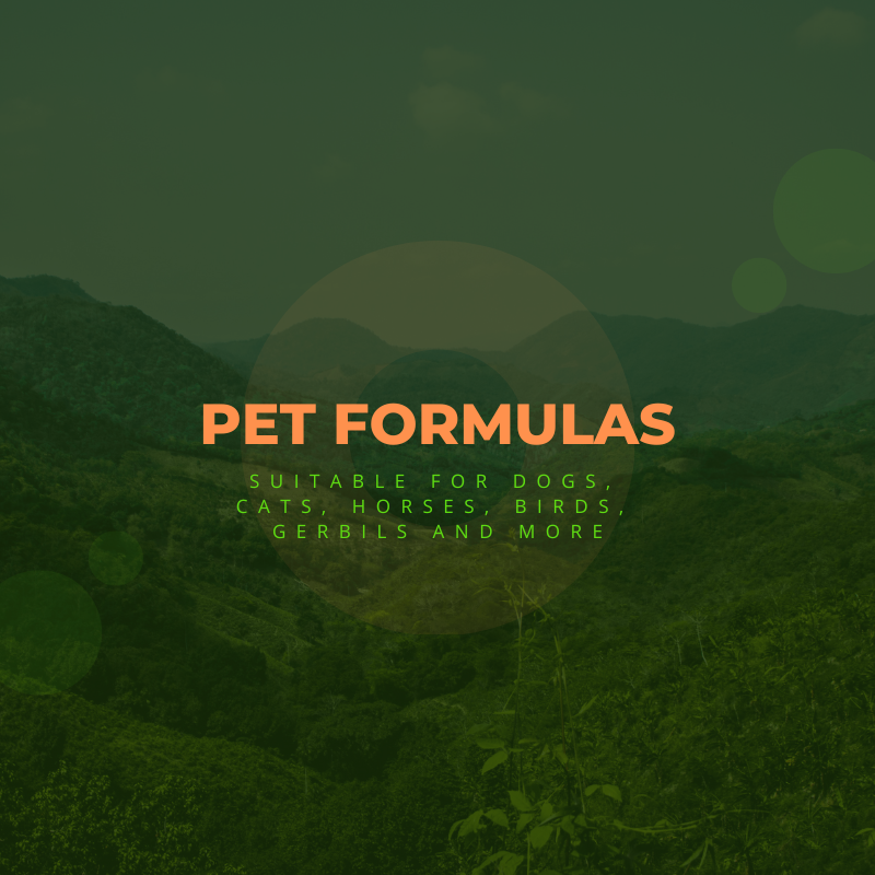 CBD For Pets